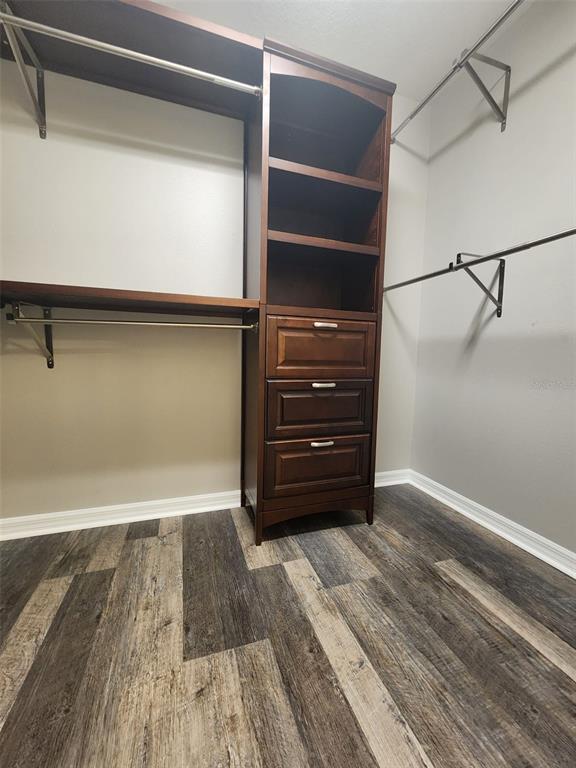7010 Spotted Deer Place Riverview, FL 33578 - Photo 15 of 21 a view of walk in closet with empty racks