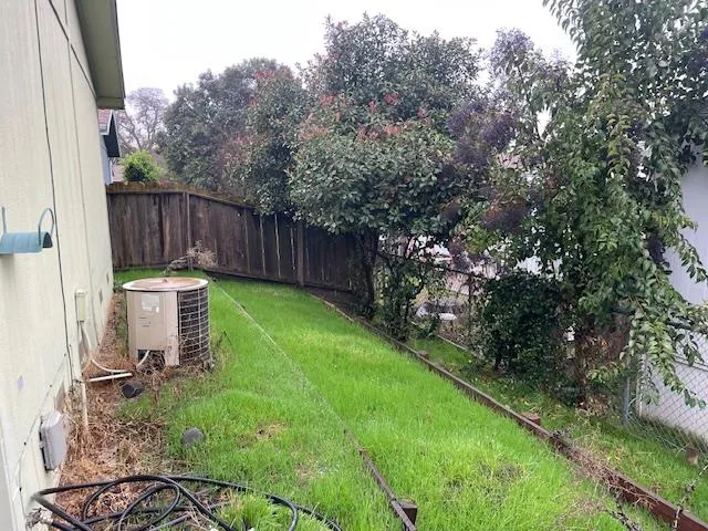 a view of a backyard with plants and large trees