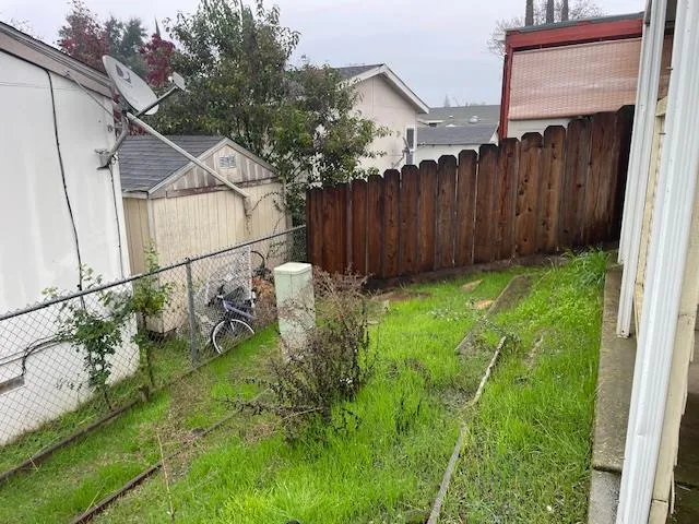 a view of a backyard