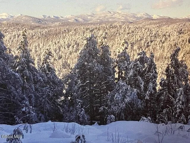 $79,500 | L24.1 Crane Pond Road, Schroon Lake, NY 12870