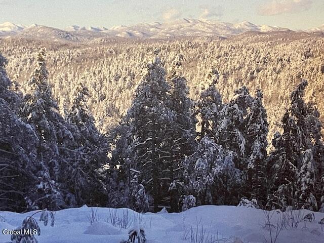 L24.1 Crane Pond Road Schroon Lake, NY 12870 - Photo 1 of 8 View From Top of Wilson Hill