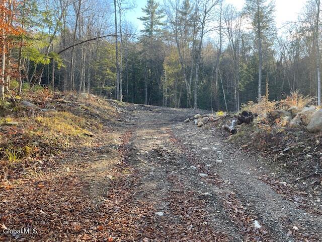 L24.1 Crane Pond Road Schroon Lake, NY 12870 - Photo 2 of 8 ROW Road