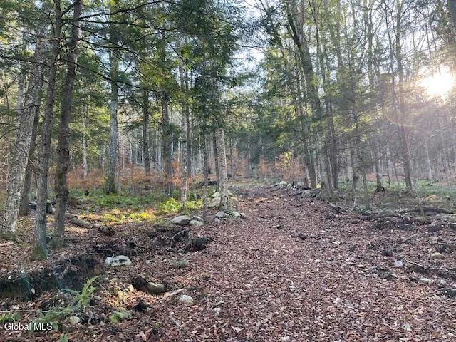 $79,500 | L24.1 Crane Pond Road, Schroon Lake, NY 12870