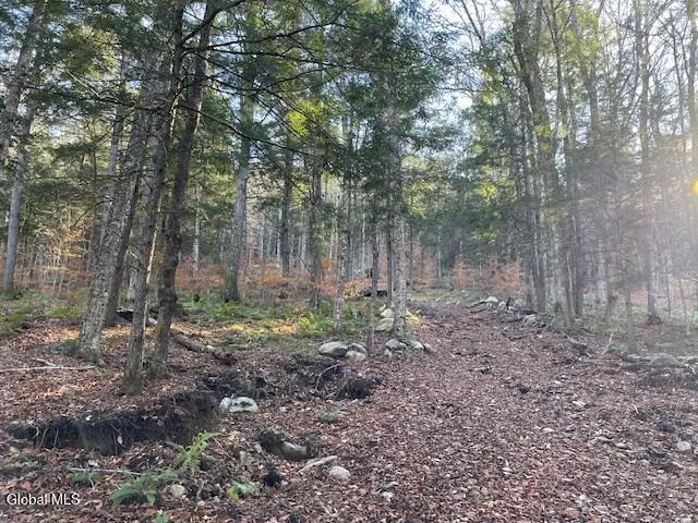 $79,500 | L24.1 Crane Pond Road, Schroon Lake, NY 12870