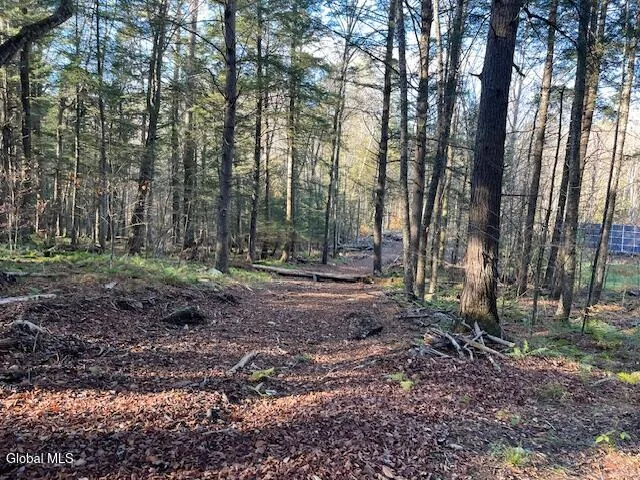 $79,500 | L24.1 Crane Pond Road, Schroon Lake, NY 12870