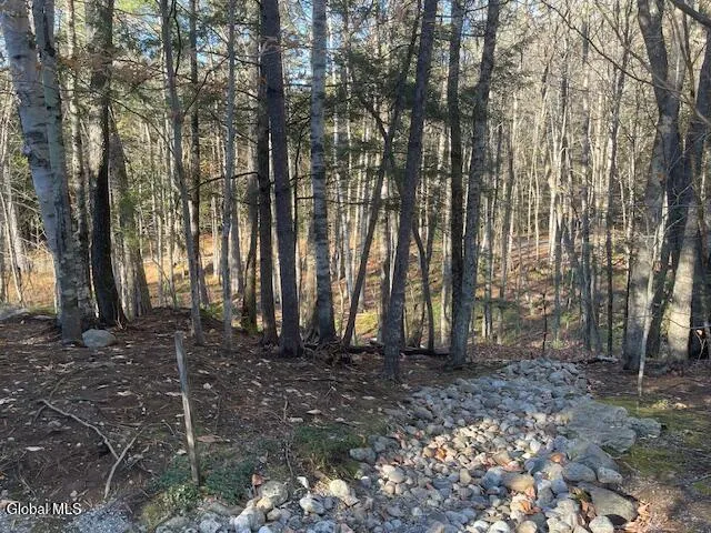 $79,500 | L24.1 Crane Pond Road, Schroon Lake, NY 12870