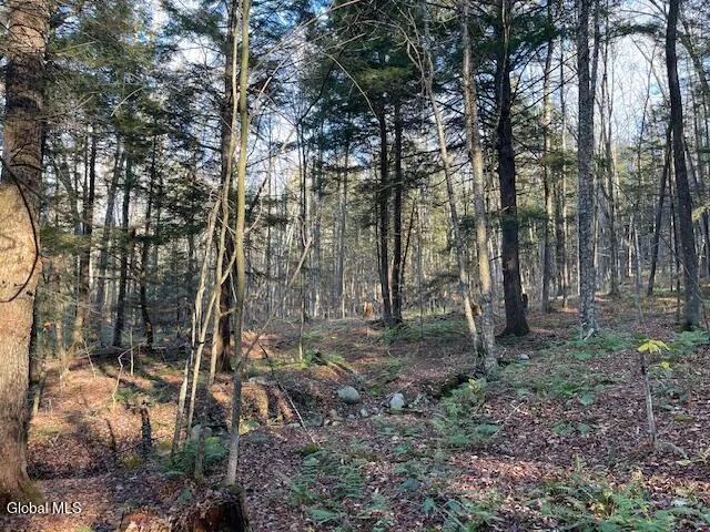 $79,500 | L24.1 Crane Pond Road, Schroon Lake, NY 12870