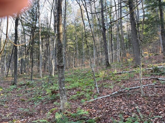 L24.1 Crane Pond Road Schroon Lake, NY 12870 - Photo 8 of 8 up the Hill