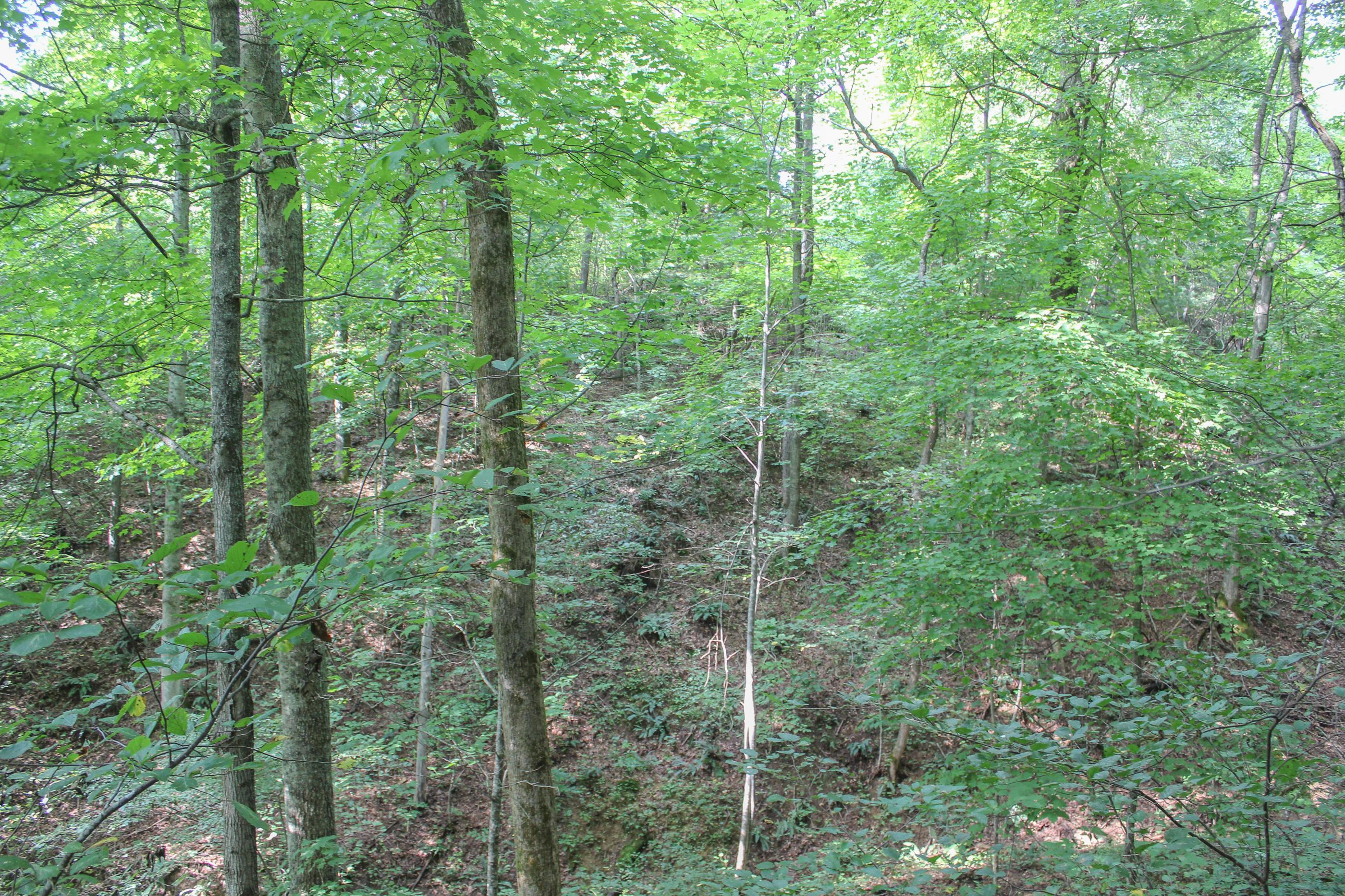 0 Bray Hollow Road McArthur, OH 45651 - Photo 11 of 17