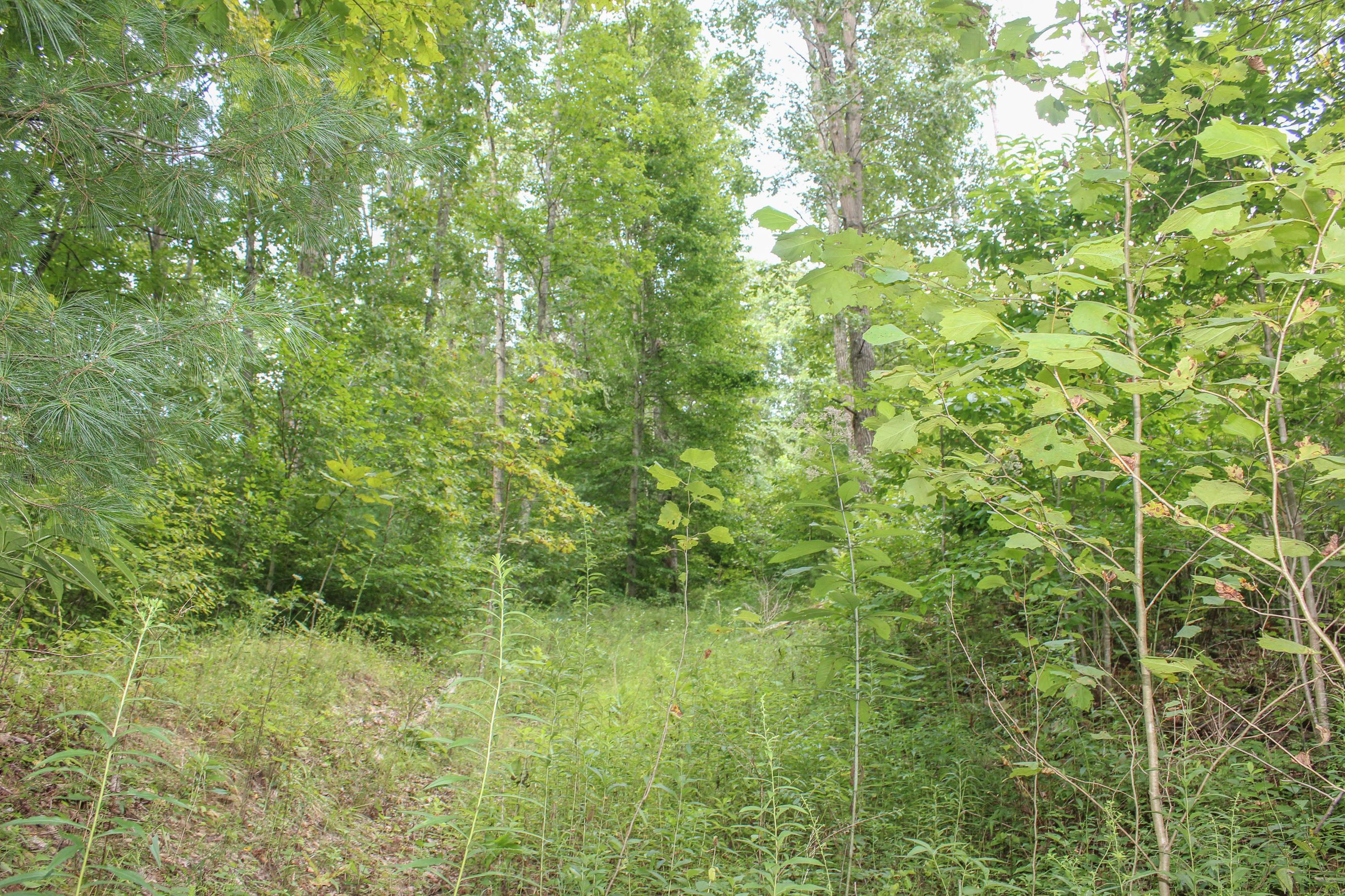 0 Bray Hollow Road McArthur, OH 45651 - Photo 12 of 17