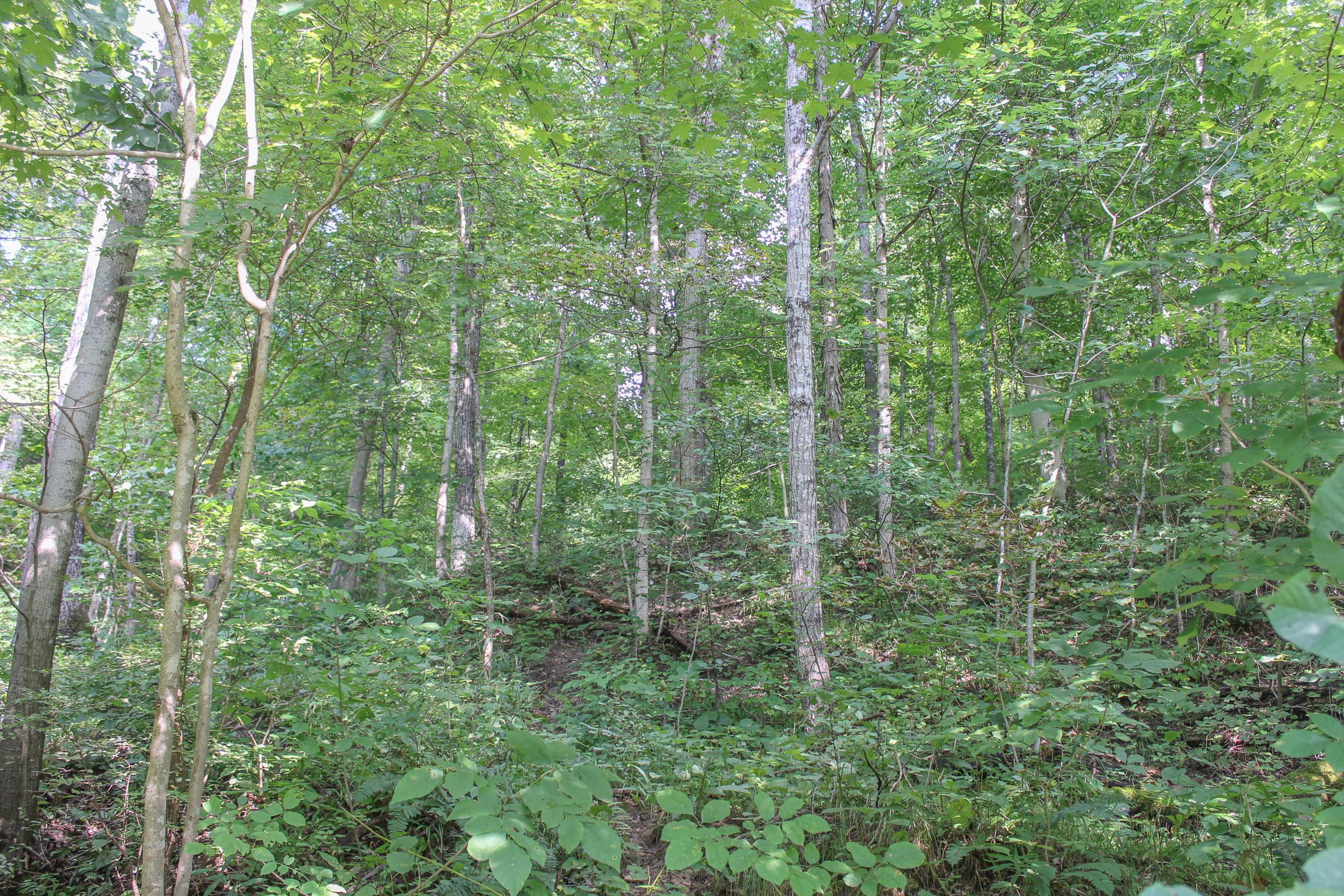 0 Bray Hollow Road McArthur, OH 45651 - Photo 13 of 17