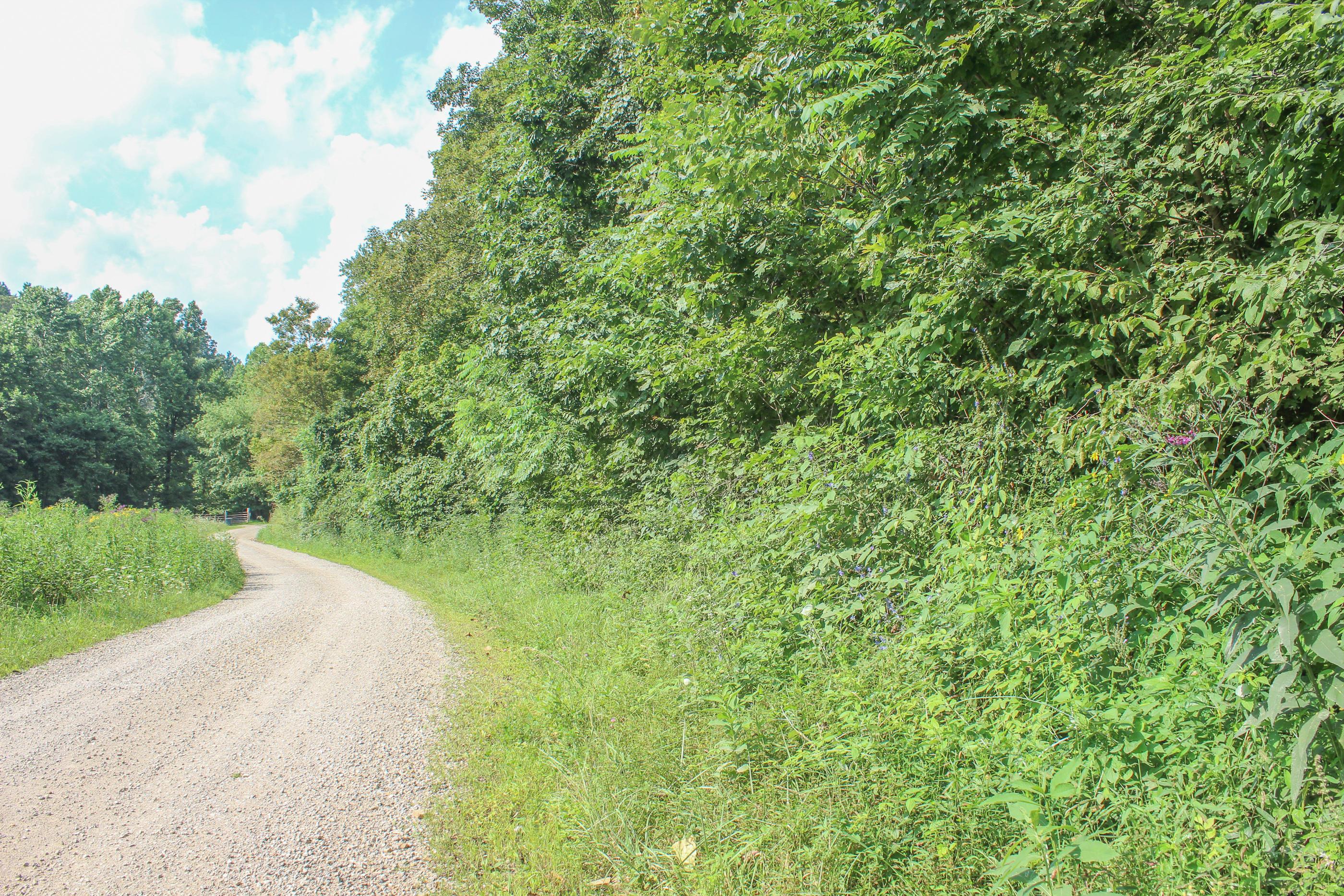 0 Bray Hollow Road McArthur, OH 45651 - Photo 16 of 17