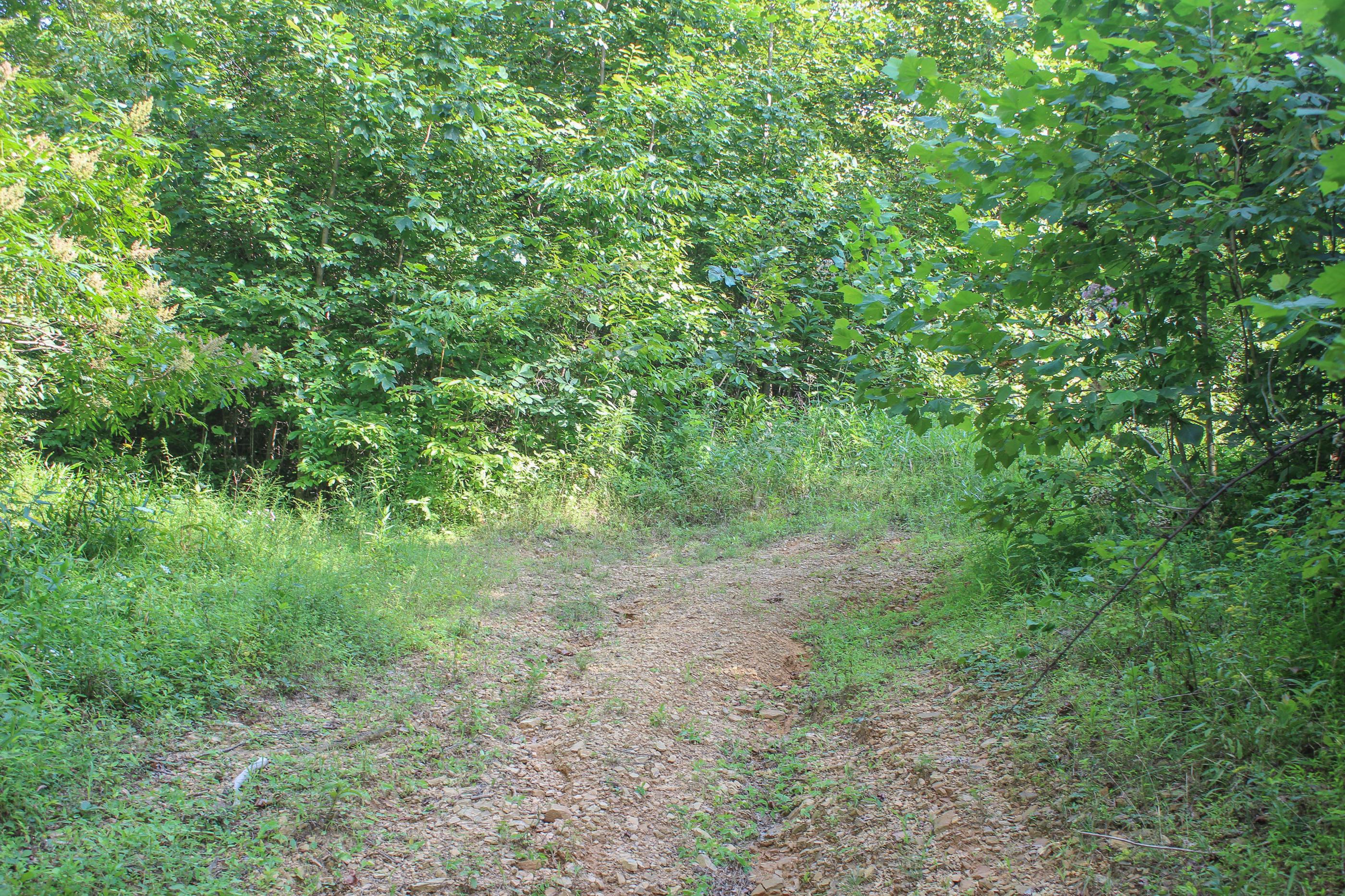 0 Bray Hollow Road McArthur, OH 45651 - Photo 3 of 17