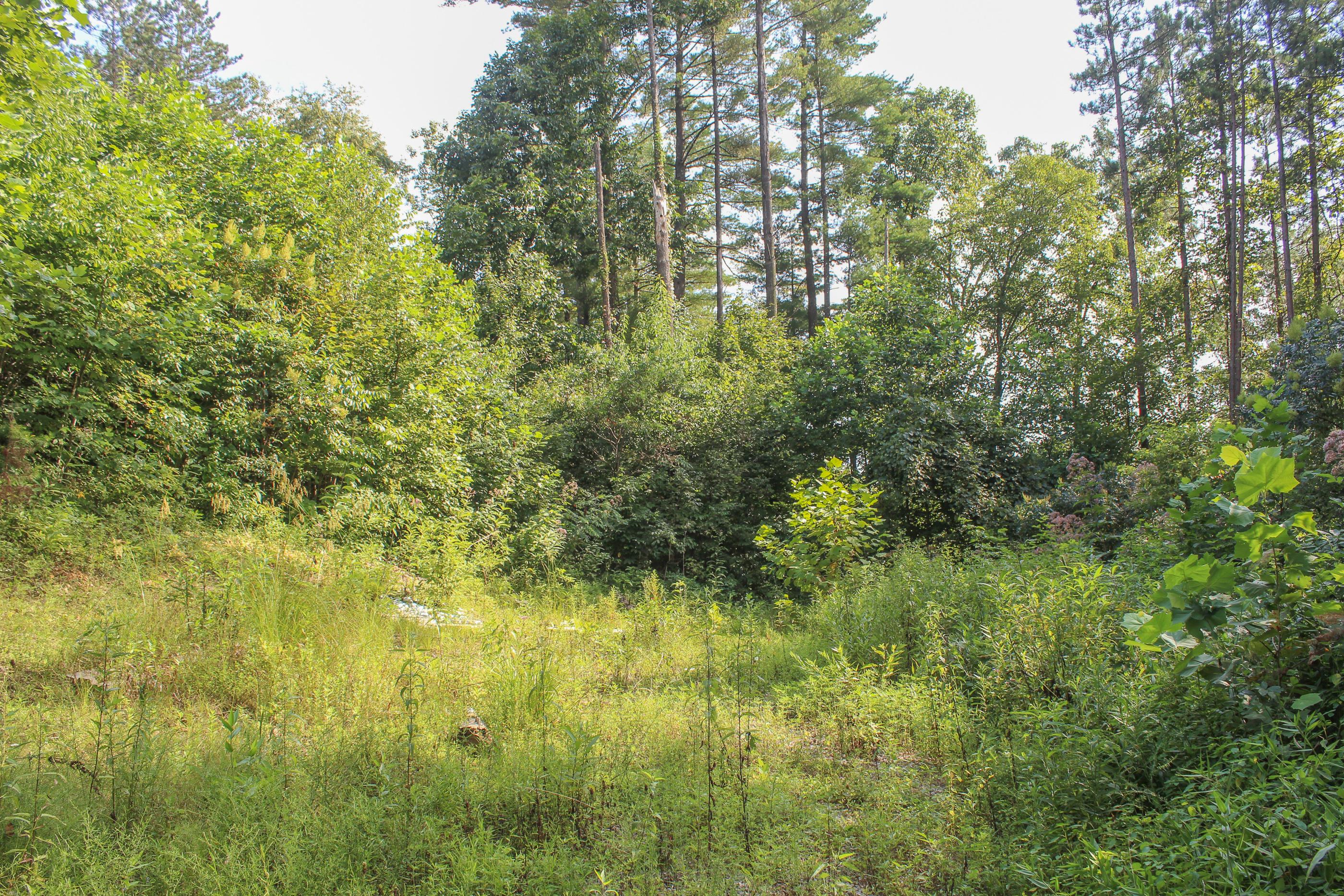 0 Bray Hollow Road McArthur, OH 45651 - Photo 4 of 17