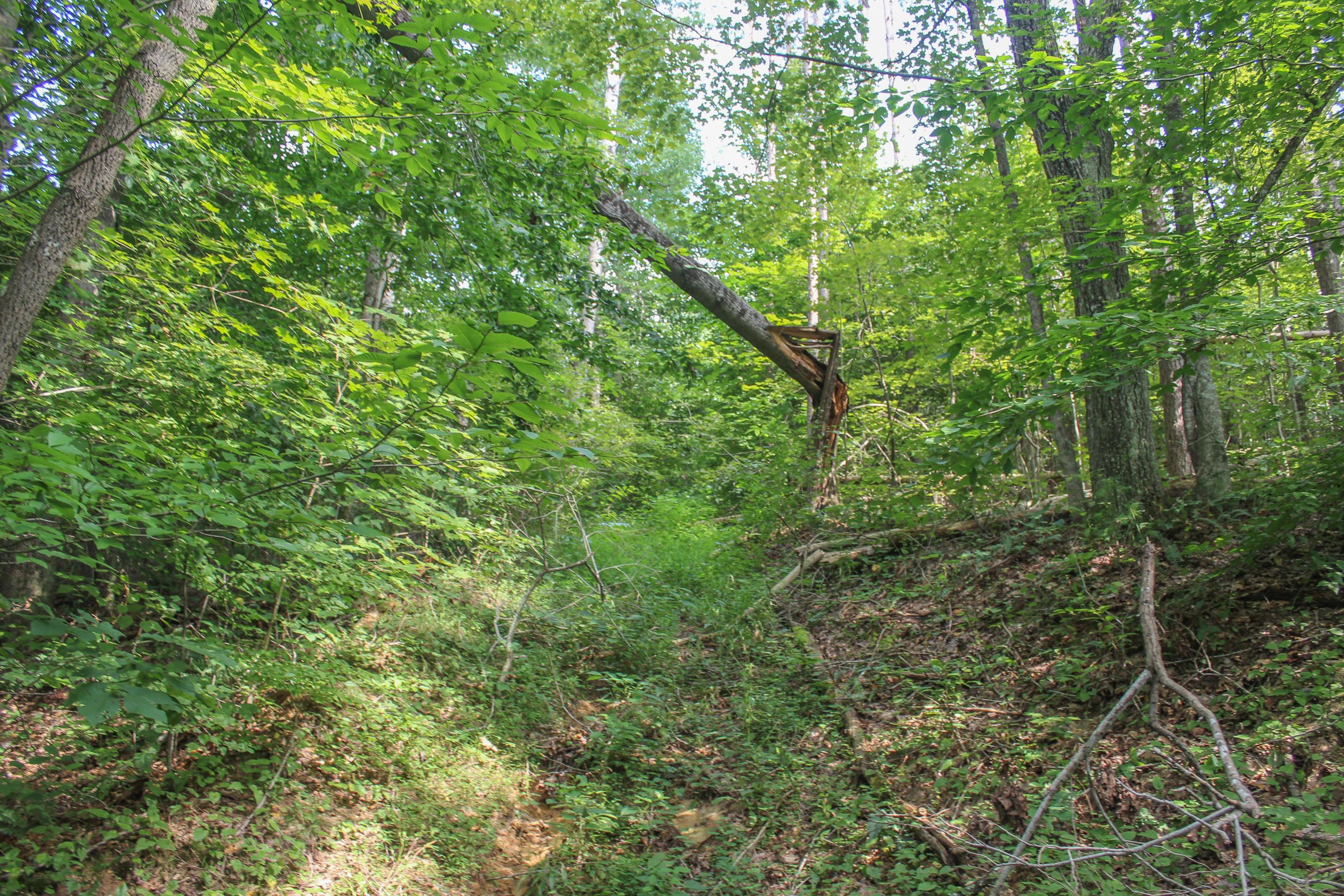 0 Bray Hollow Road McArthur, OH 45651 - Photo 6 of 17