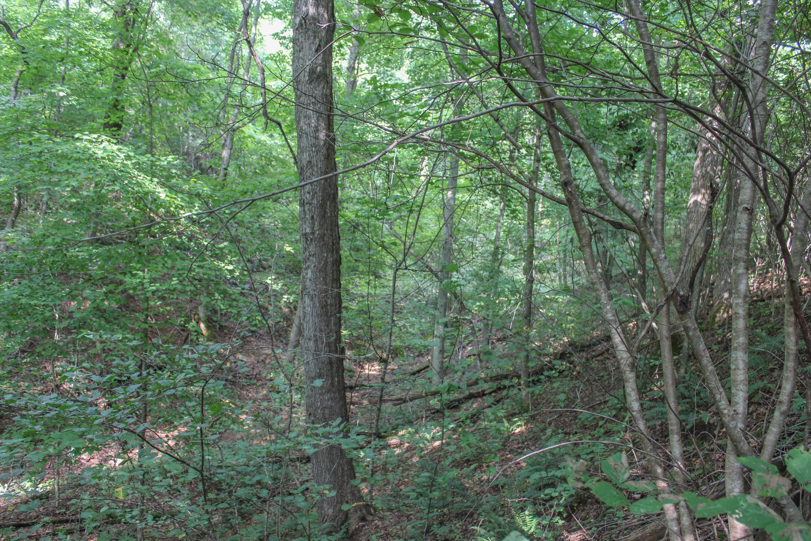 0 Bray Hollow Road McArthur, OH 45651 - Photo 10 of 17