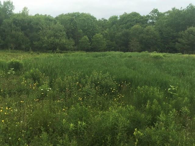 0 Hartshorn Road Morrill, ME 04952 - Photo 12 of 20 Photo
