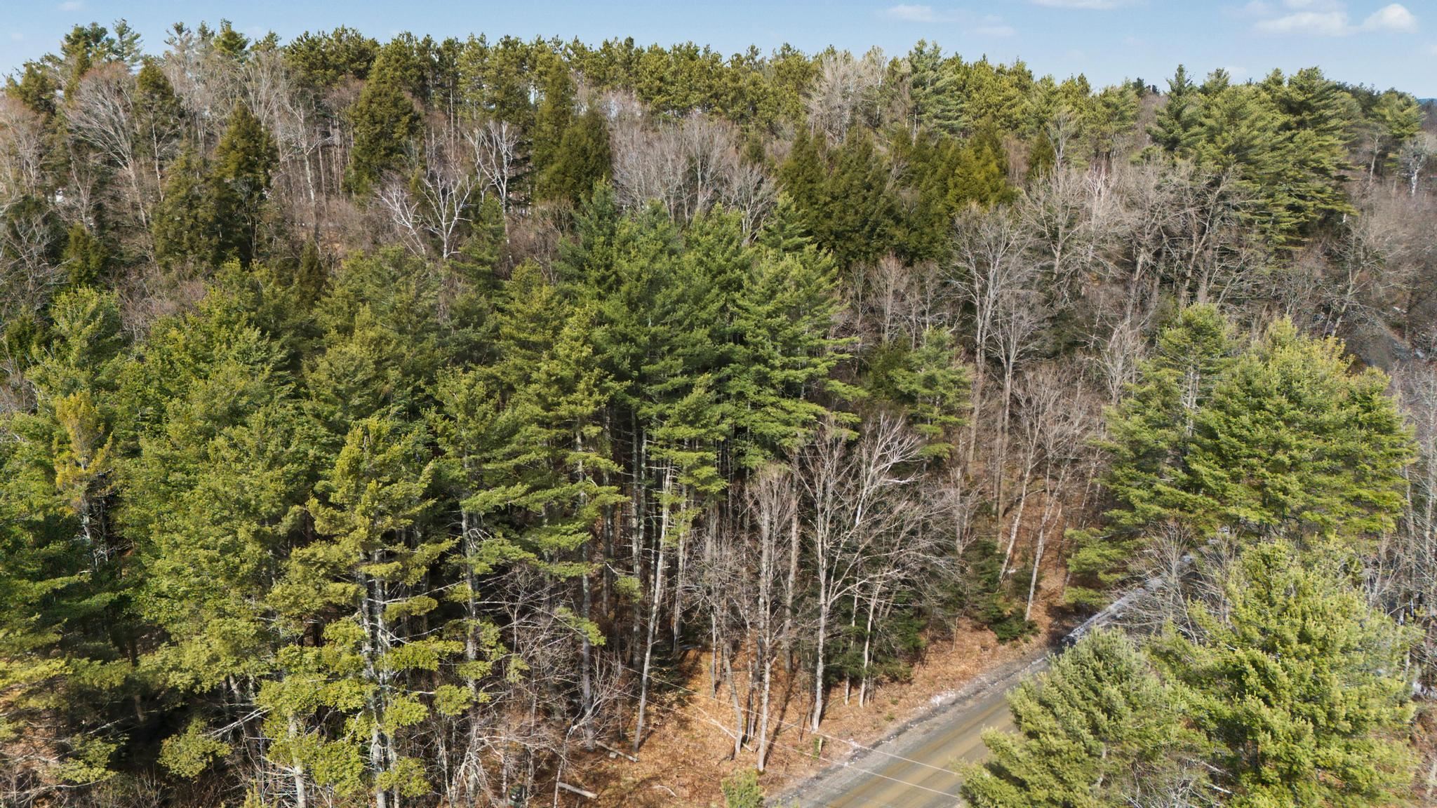 138 Shepardson Hollow Road Fairfax, VT 05444 - Photo 9 of 13