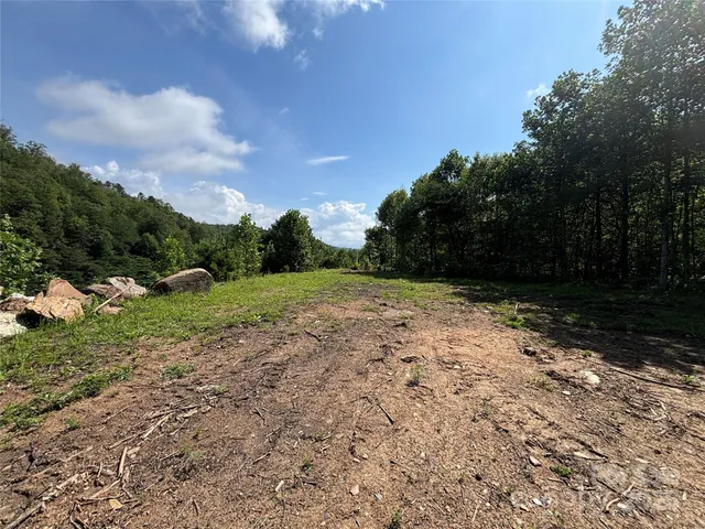 a view of a yard with plants and trees