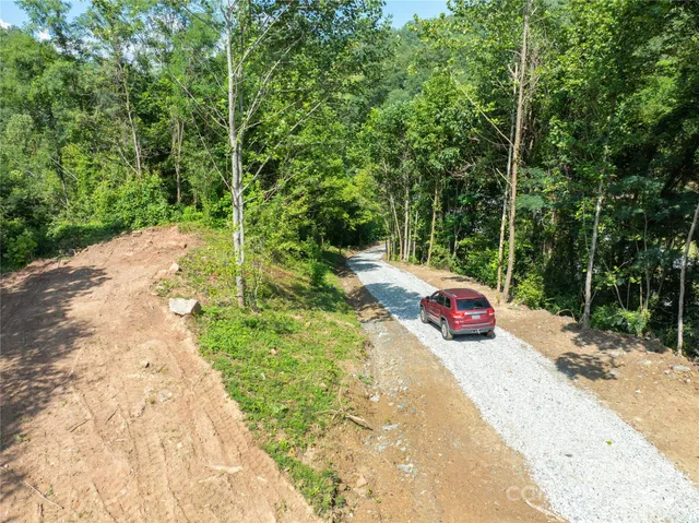 a view of a garden with a bench