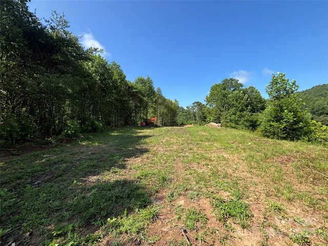 a view of a grassy field with trees