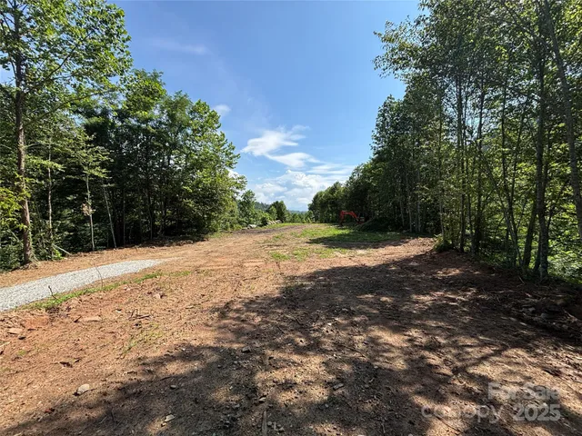 a view of a yard with large trees