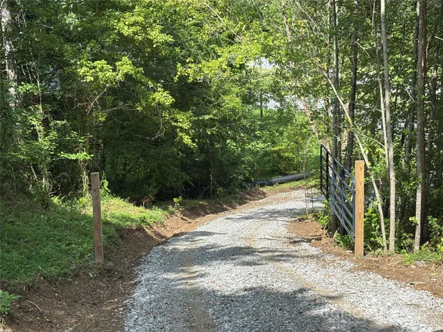 a view of a yard with plants and trees