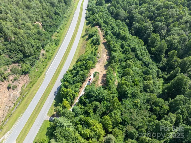 a view of a green yard with large trees