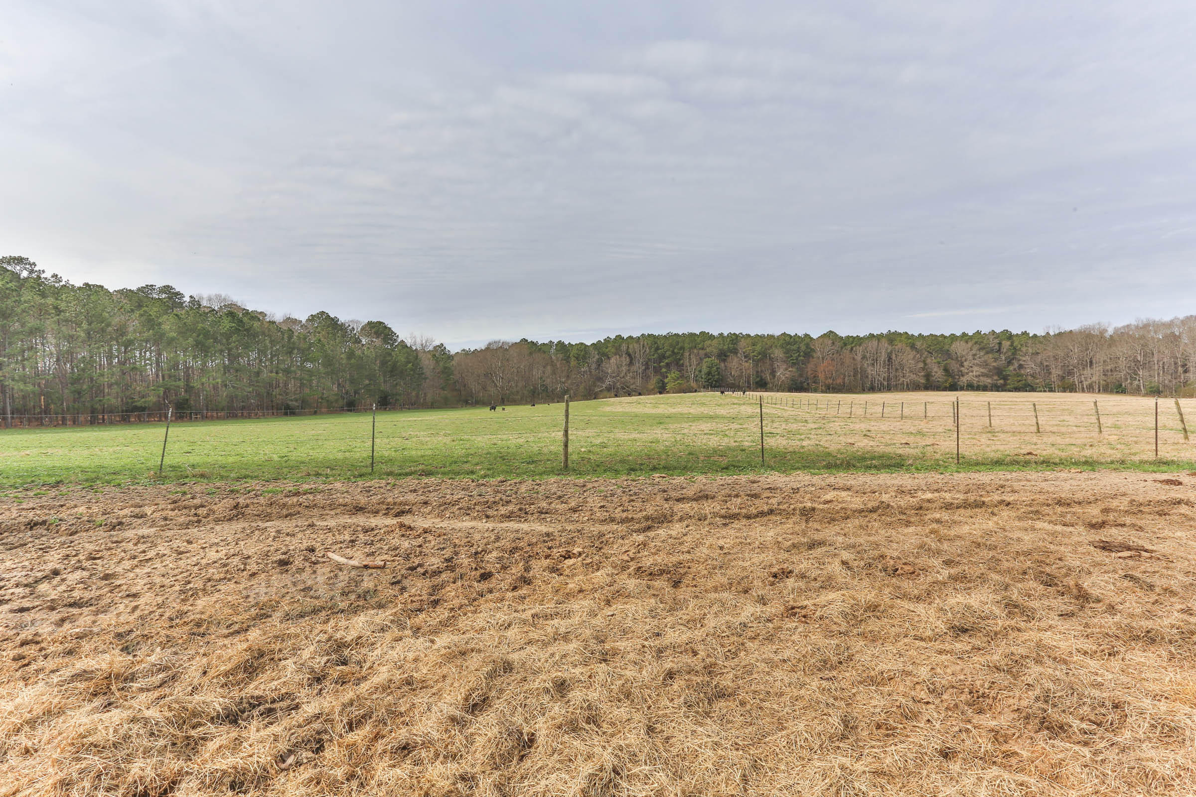 147 Godfrey Road Ellerbe, NC 28338 - Photo 34 of 55 2Z1A3268