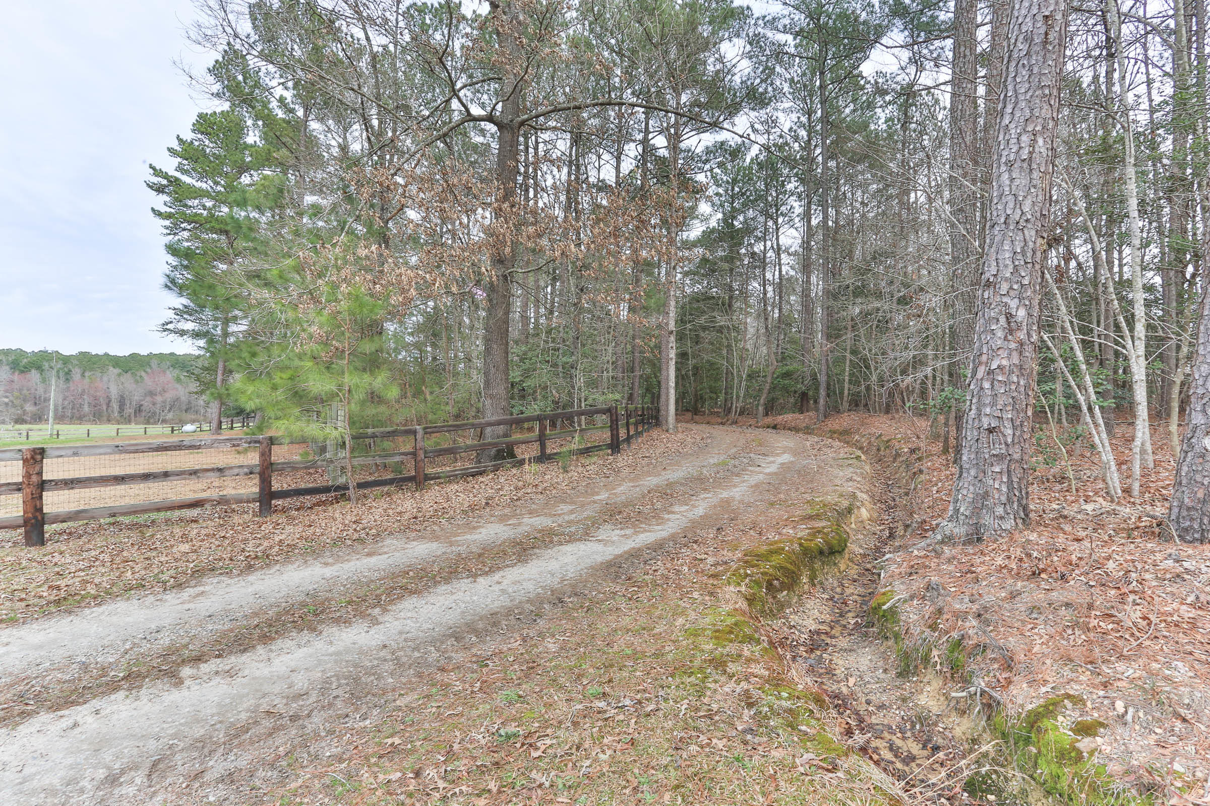 147 Godfrey Road Ellerbe, NC 28338 - Photo 50 of 55 2Z1A3344