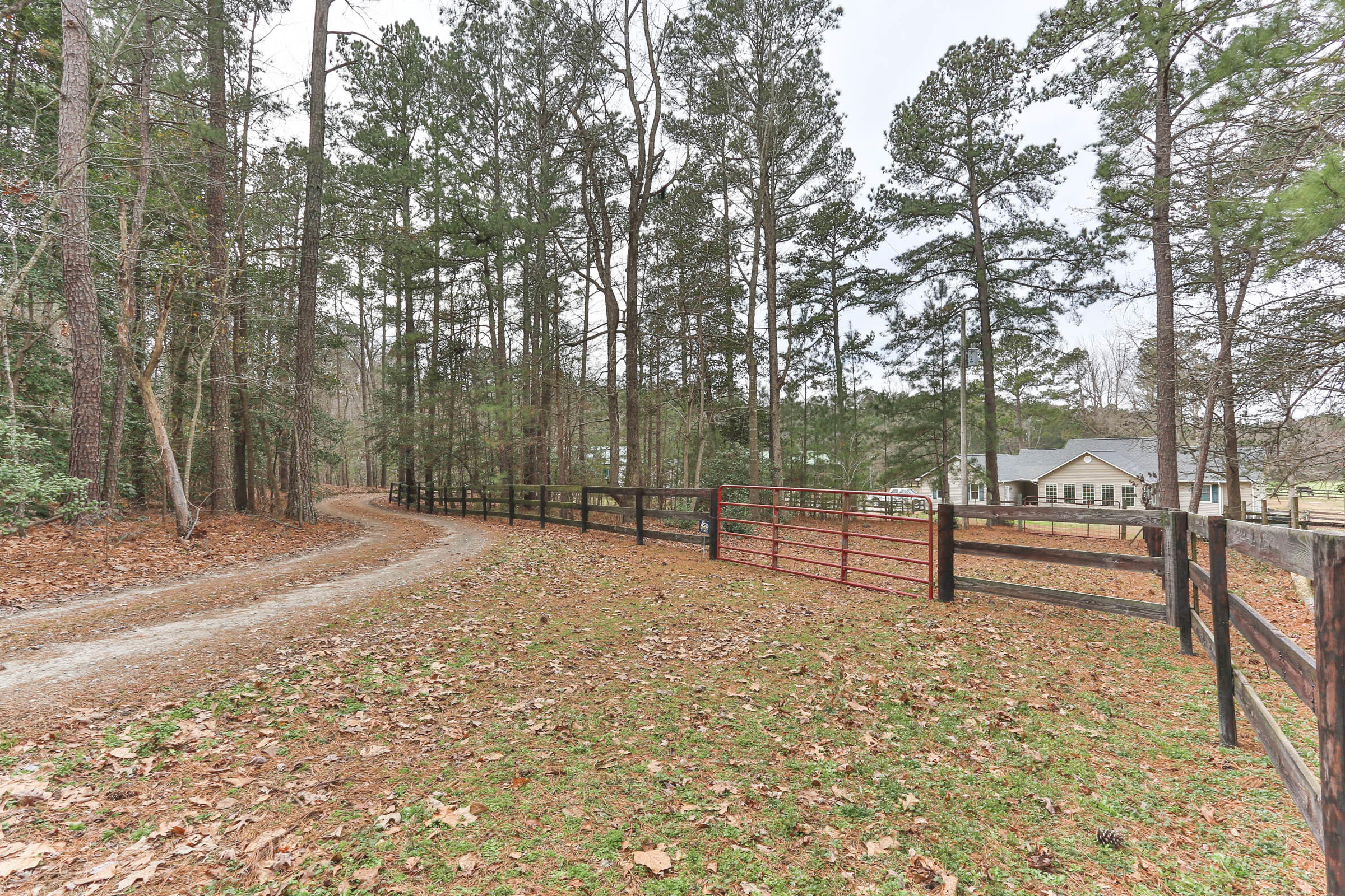 147 Godfrey Road Ellerbe, NC 28338 - Photo 54 of 55 2Z1A3364
