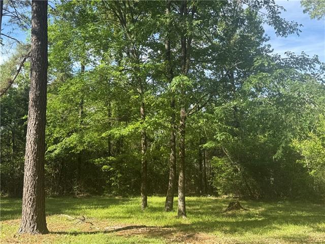 25 Woodson Landing Road Deville, LA 71328 - Photo 11 of 16