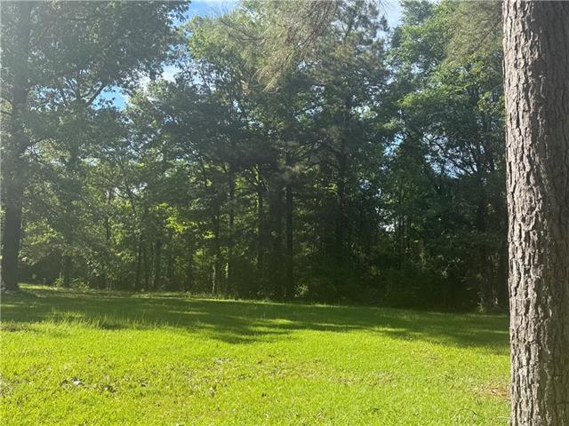 25 Woodson Landing Road Deville, LA 71328 - Photo 12 of 16