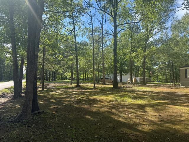 25 Woodson Landing Road Deville, LA 71328 - Photo 16 of 16