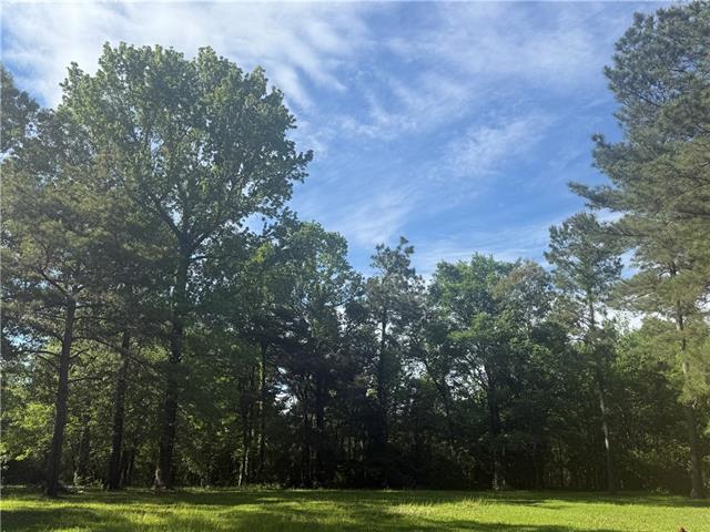 25 Woodson Landing Road Deville, LA 71328 - Photo 4 of 16