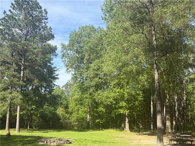 25 Woodson Landing Road Deville, LA 71328 - Photo 5 of 16