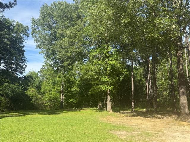 25 Woodson Landing Road Deville, LA 71328 - Photo 8 of 16