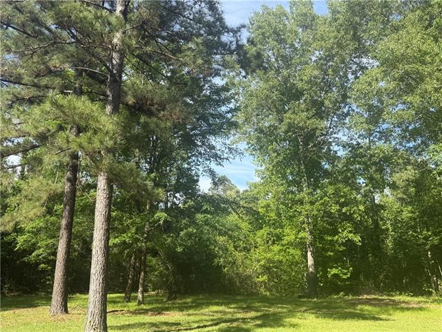 25 Woodson Landing Road Deville, LA 71328 - Photo 9 of 16