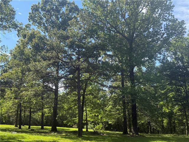 25 Woodson Landing Road Deville, LA 71328 - Photo 10 of 16