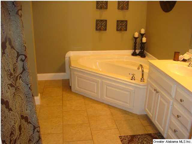 477 Pearl Lake Road Springville, AL 35146 - Photo 20 of 21