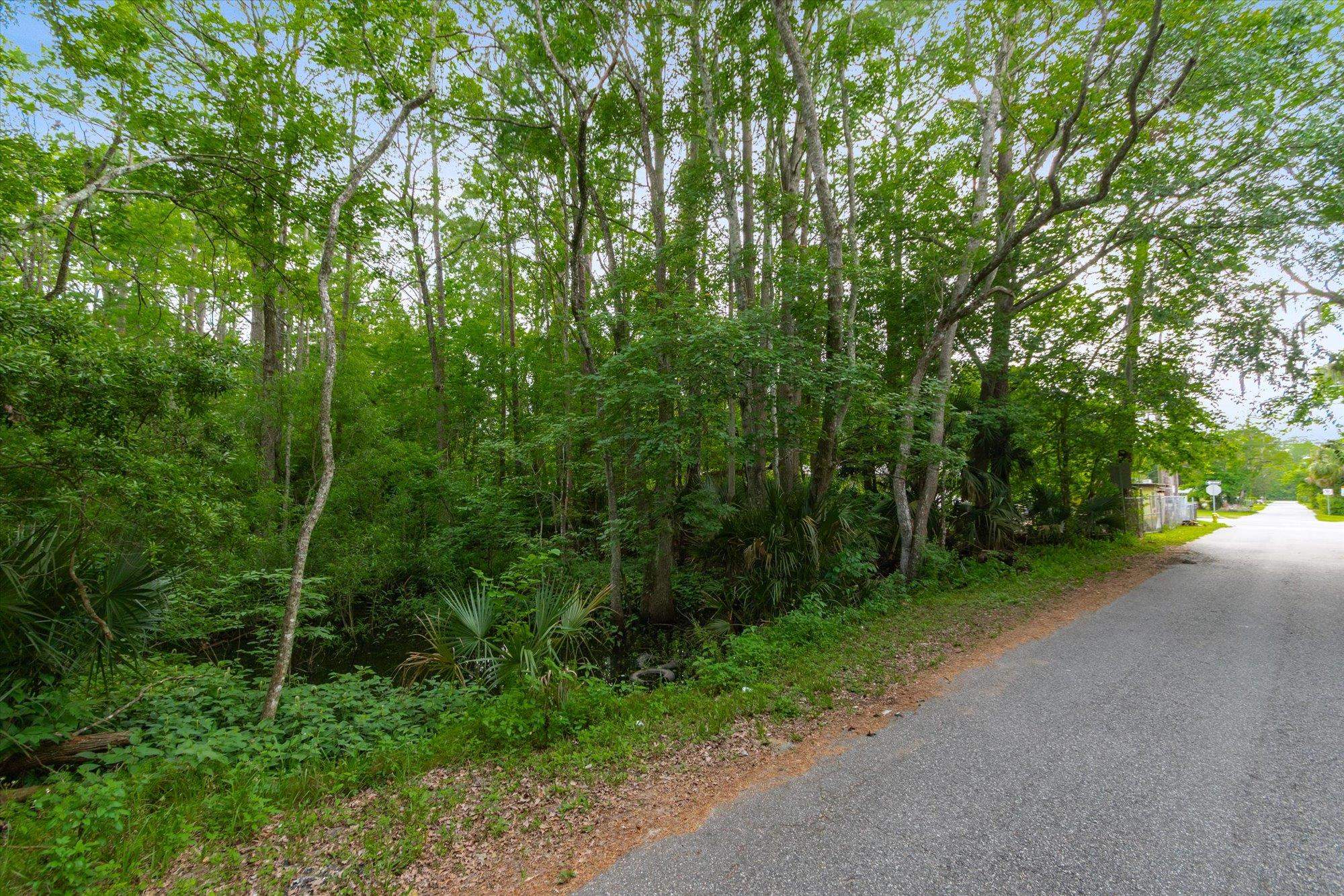 0 West 8th Street St. Augustine, FL 32084 - Photo 15 of 31 a view of a forest with trees