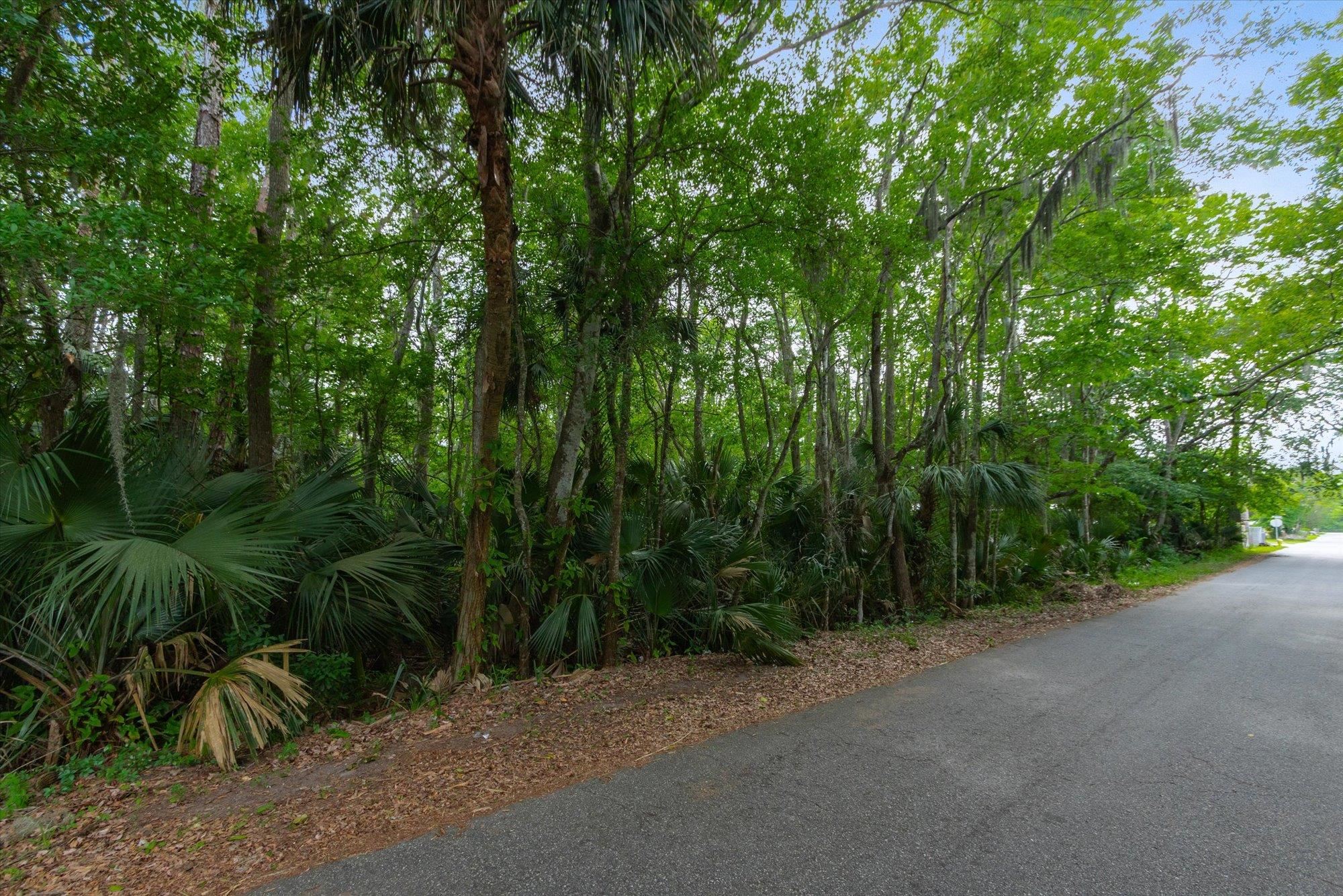 0 West 8th Street St. Augustine, FL 32084 - Photo 20 of 31 a view of a forest with a trees