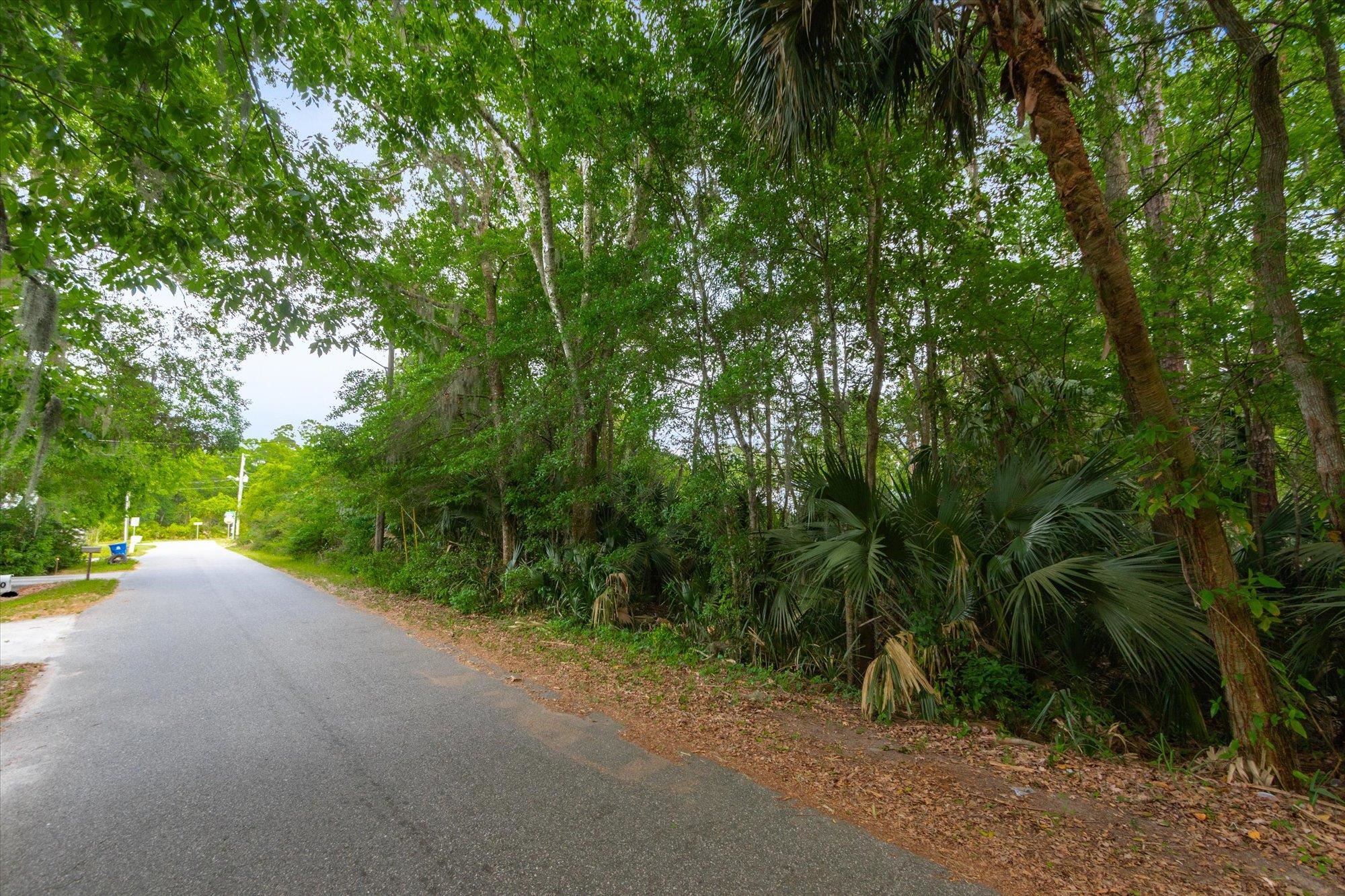 0 West 8th Street St. Augustine, FL 32084 - Photo 21 of 31 a view of a forest with trees in the background
