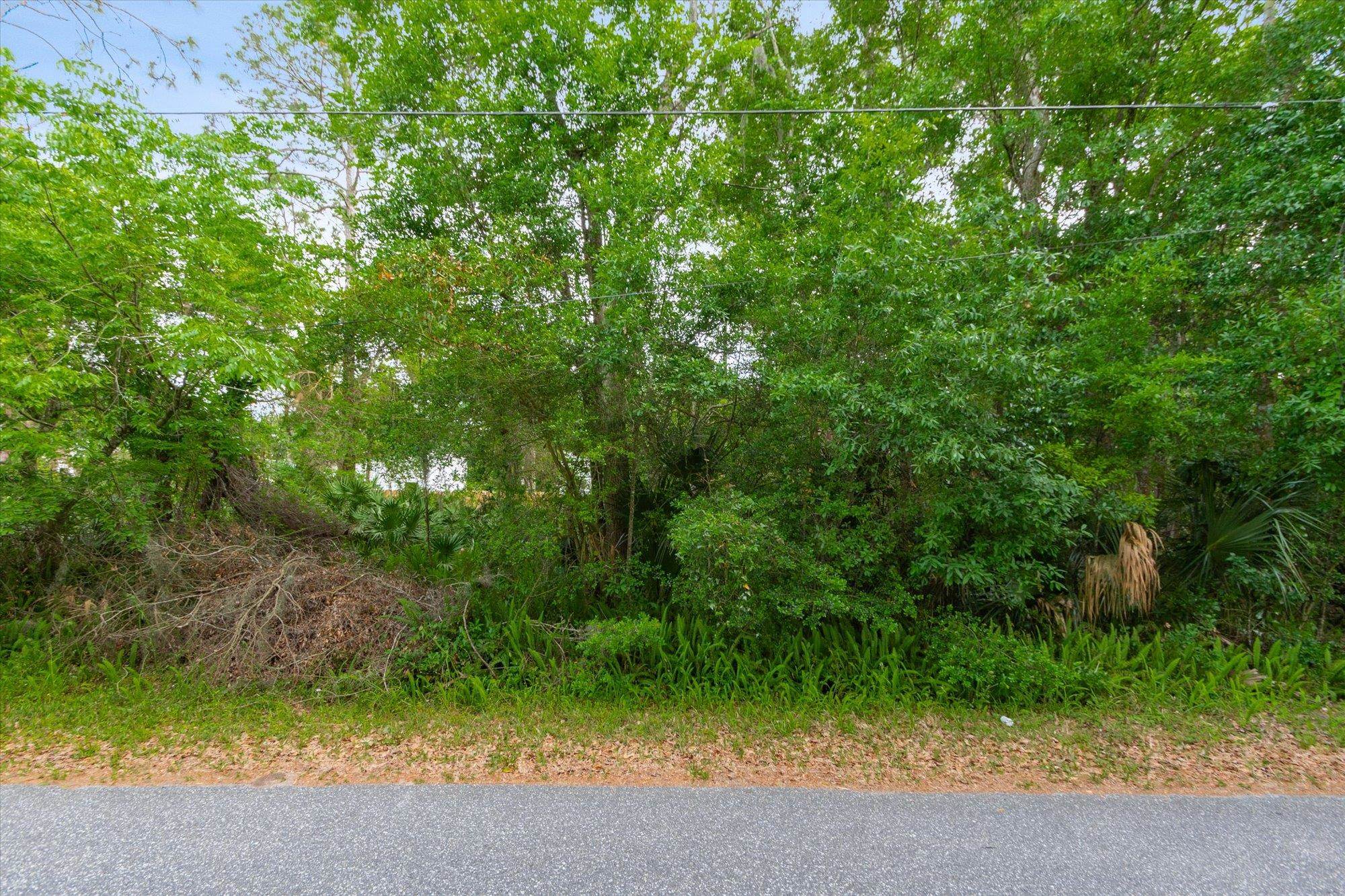 0 West 8th Street St. Augustine, FL 32084 - Photo 25 of 31 a view of a forest