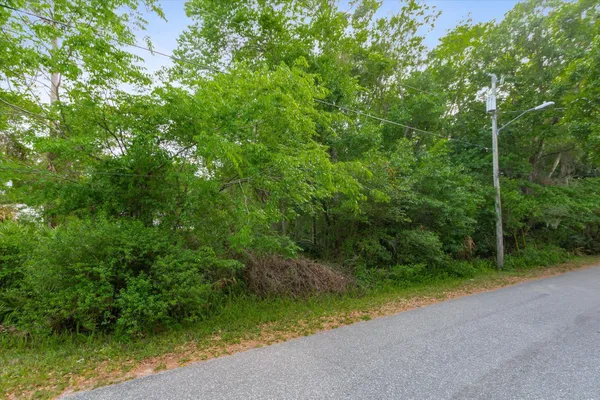 a view of a yard with a trees