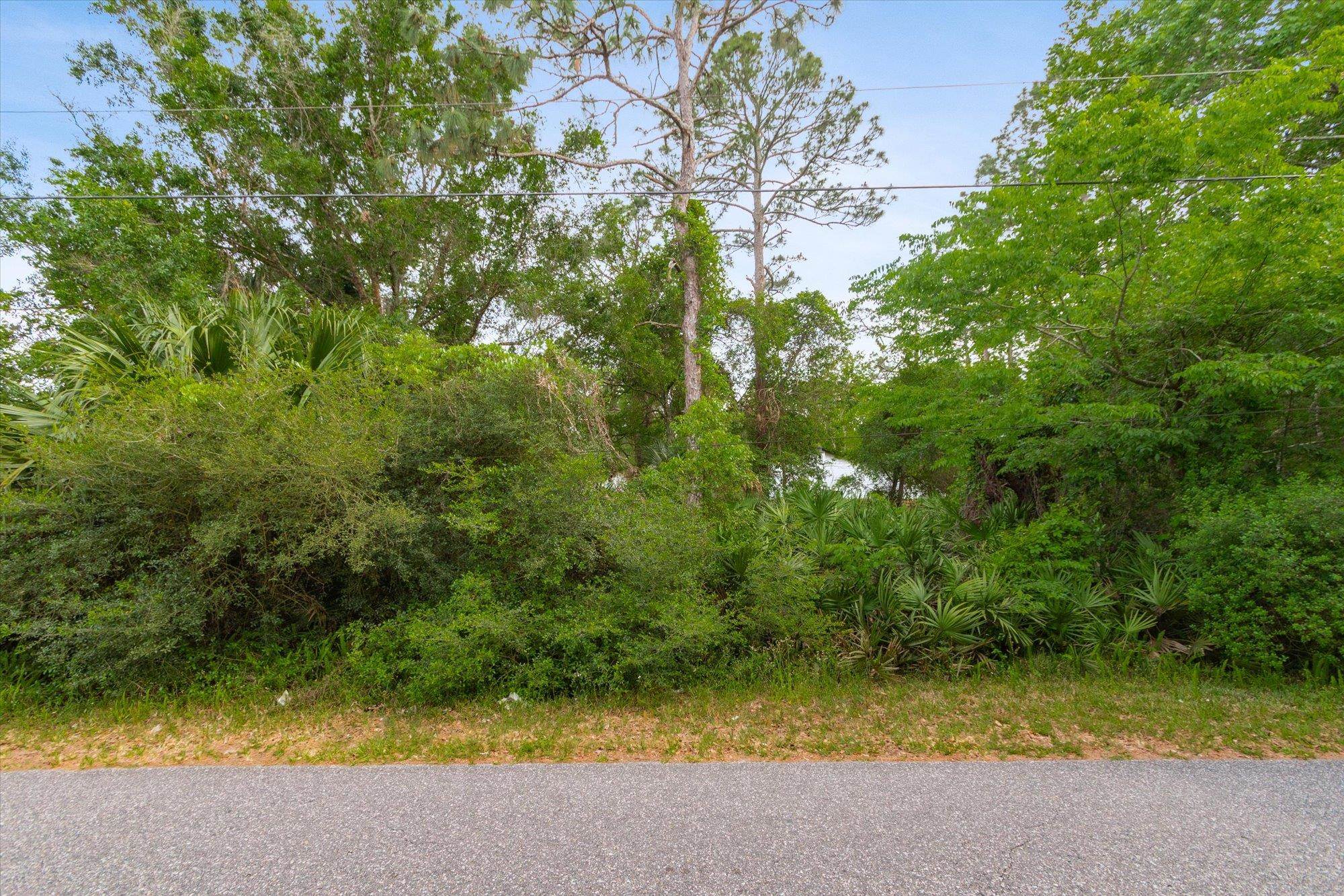 0 West 8th Street St. Augustine, FL 32084 - Photo 27 of 31 a view of forest