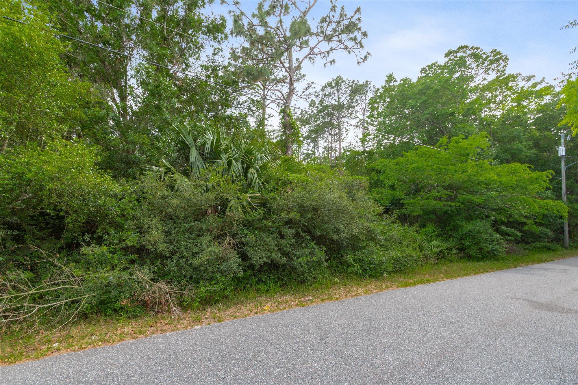 0 West 8th Street St. Augustine, FL 32084 - Photo 28 of 31 a view of a yard with plants and large trees