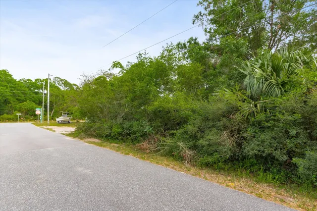 a view of a back yard