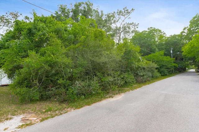 a view of a garden with plants