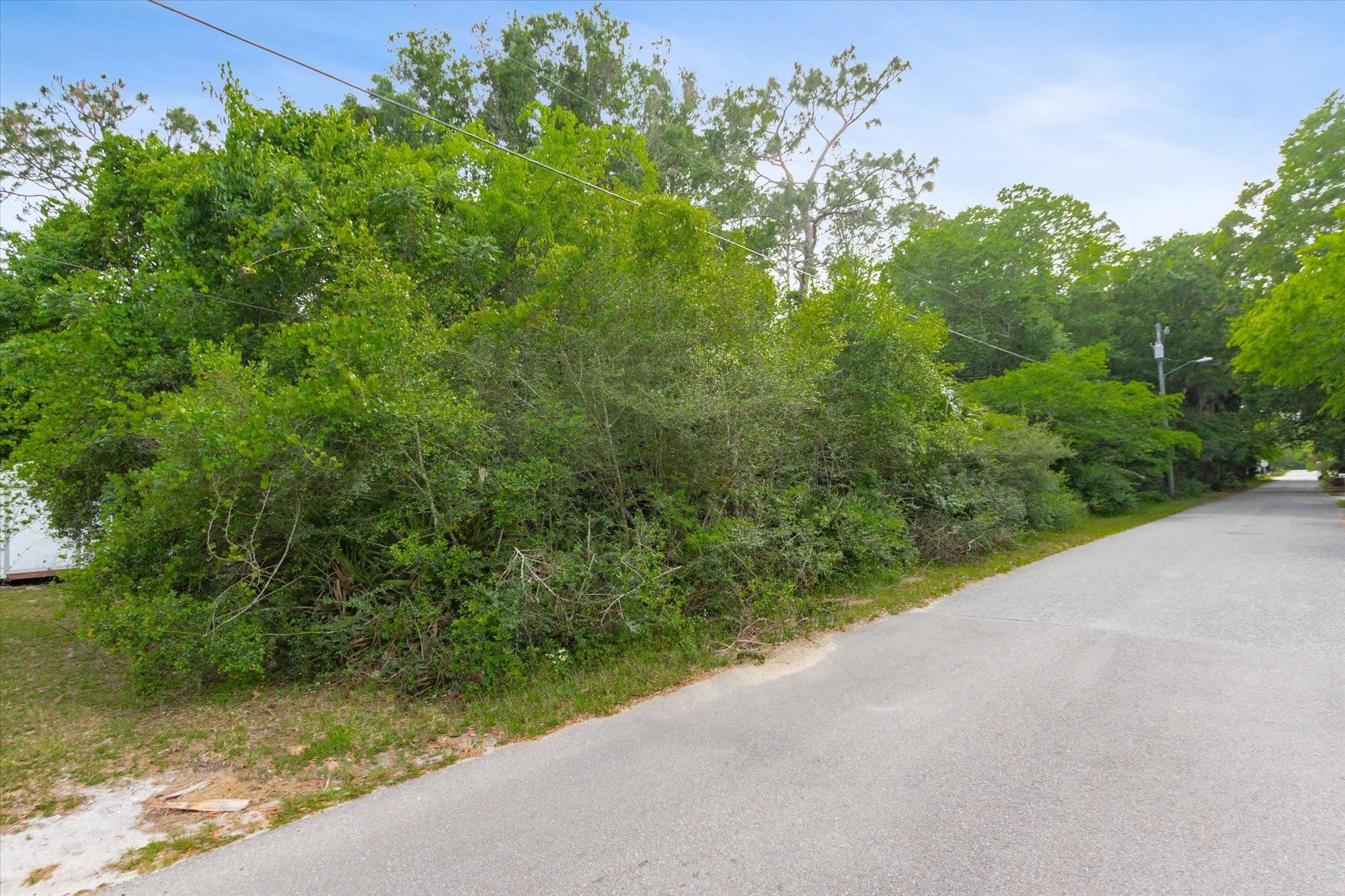 0 West 8th Street St. Augustine, FL 32084 - Photo 31 of 31 a view of a garden with plants